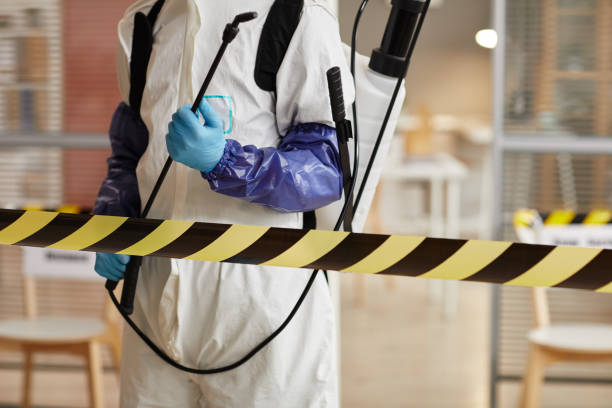 Professional Hoarding Cleanup technician working in Oakhurst, CA